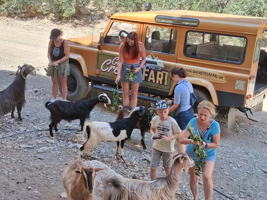 Crete: Guided Jeep Safari With Swimming And Snacks - Practical Tips and Considerations