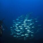 Crete Introductory Scuba Diving Experience - Locations and What They Mean for Your Experience