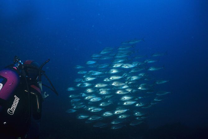 Crete Introductory Scuba Diving Experience - Locations and What They Mean for Your Experience