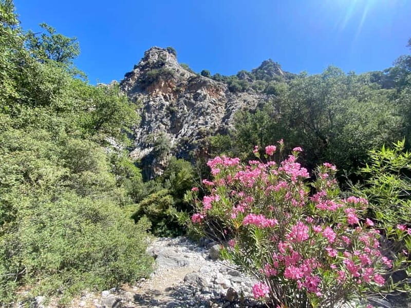 Crete: Kritsa Canyon Guided Hiking Tour - Who Is This Tour Best Suited For?
