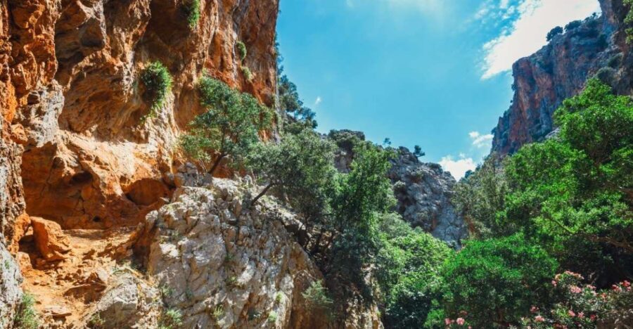 Crete: Kritsa Gorge Hike with Picnic & Swim Stop - What Real Travelers Are Saying