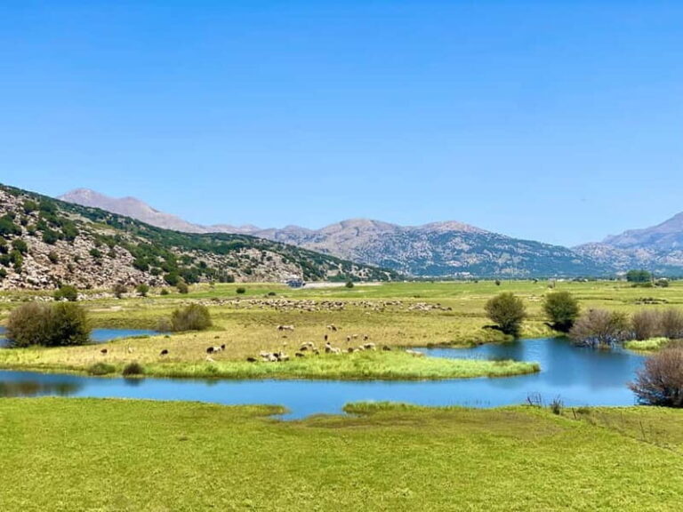 Crete: Lassithi Plateau Guided Hiking Tour - What’s Included and What You Need to Know