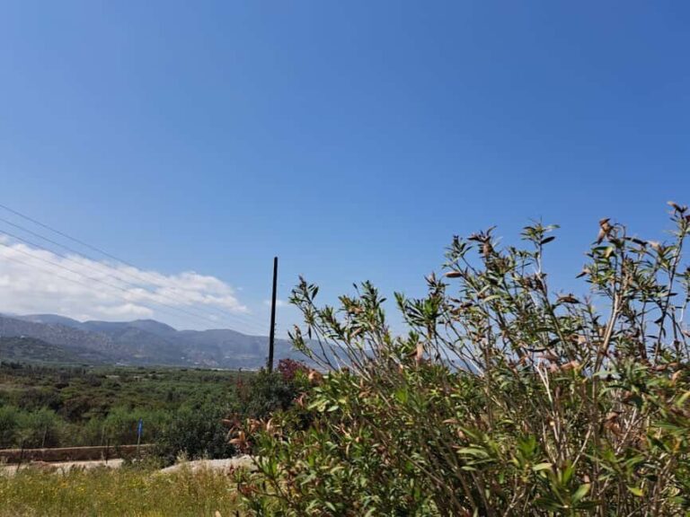 Crete: Malia, Potamos Beach, and Sissi Tuk Tuk Tour - The Practical Details