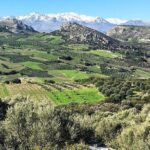 Crete: Olive, Wine, Raki - Flavorful Culinary Journey - Final Thoughts