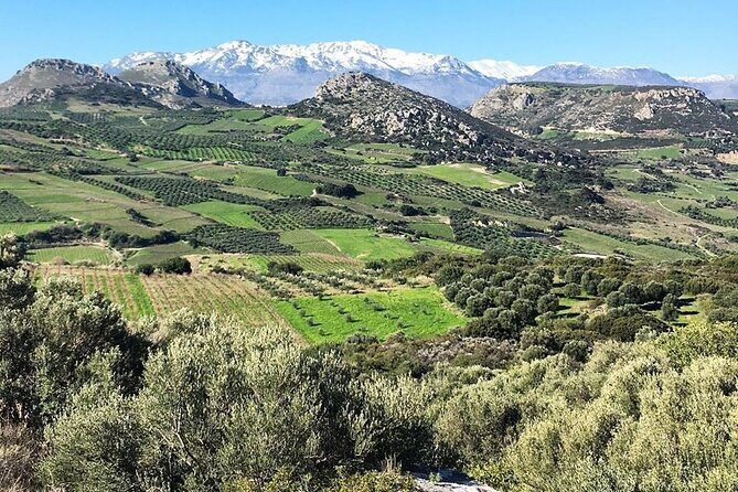 Crete: Olive, Wine, Raki - Flavorful Culinary Journey - Final Thoughts