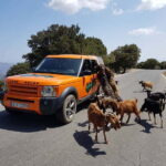 Crete: Sarakina Gorge, Forests, and South Coast Safari - What the Tour Includes and Practical Considerations