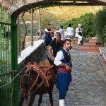 Crete: Traditional Dance Show and Buffet Dinner with Wine - What Could Be Improved