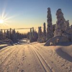 Cross-Country Skiing Guided Tour From Prague - What the Reviews Say