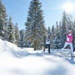 Cross Country Skiing Lessons for Beginners (Feldberg) - The Authentic Experience: Benefits and Caveats