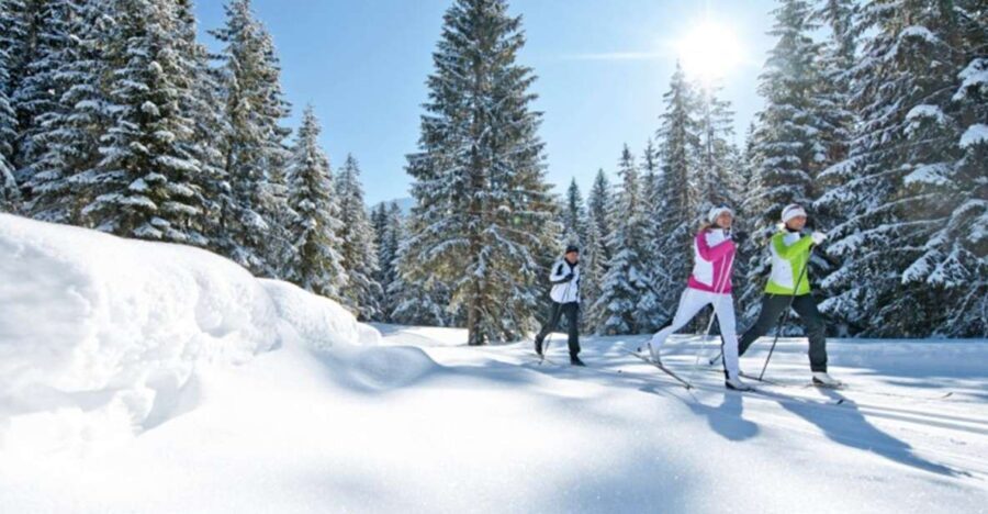 Cross Country Skiing Lessons for Beginners (Feldberg) - The Authentic Experience: Benefits and Caveats