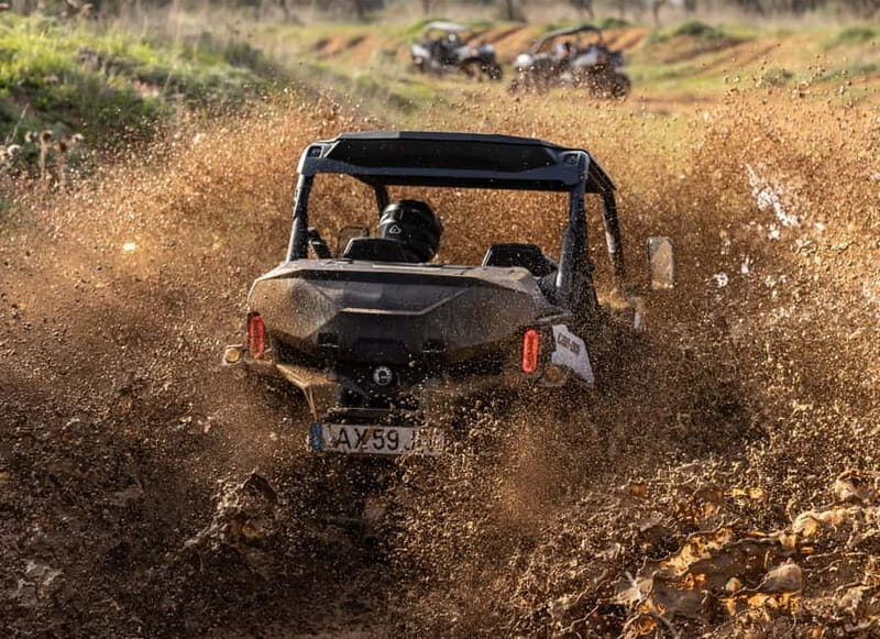 cross country - Exploring Porto’s Natural Beauty and Cultural Heritage