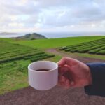 Cruise Shore Excursion São Miguel Essentials - Final Thoughts