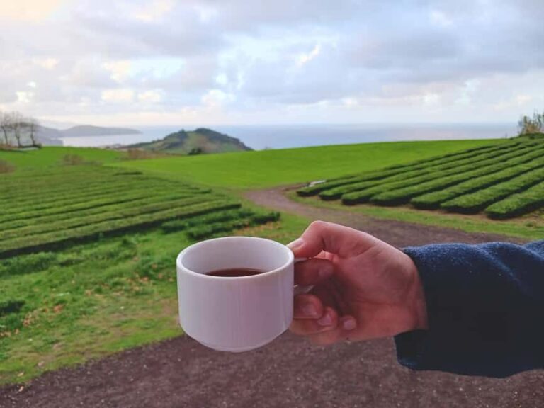 Cruise Shore Excursion São Miguel Essentials - Final Thoughts