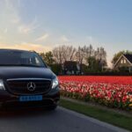 Cruise Terminal Rotterdam: Private Tour by Luxury Van - The Pros and Cons in Detail