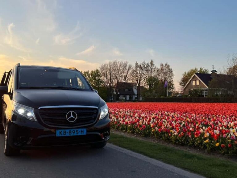 Cruise Terminal Rotterdam: Private Tour by Luxury Van - The Pros and Cons in Detail