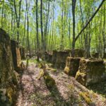 Cruise to Old Kemi with Guided Walking Tour - Practical Details and What to Expect