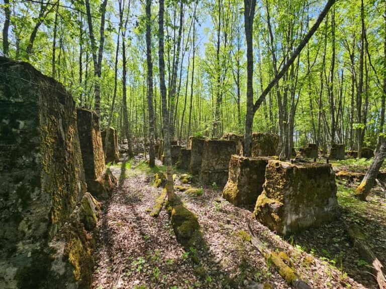 Cruise to Old Kemi with Guided Walking Tour - Practical Details and What to Expect