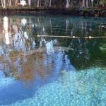 Crystal River Manatee Viewing Cruise - Who Will Love This Tour?