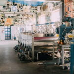 Cured Meat & Olive Oil Tasting & Visit near Pisa & Livorno - What to Expect from the Experience