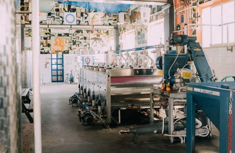 Cured Meat & Olive Oil Tasting & Visit near Pisa & Livorno - What to Expect from the Experience