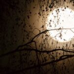 Curse of the Doomed Passage Escape Game in Flaine - Starting and Ending Points