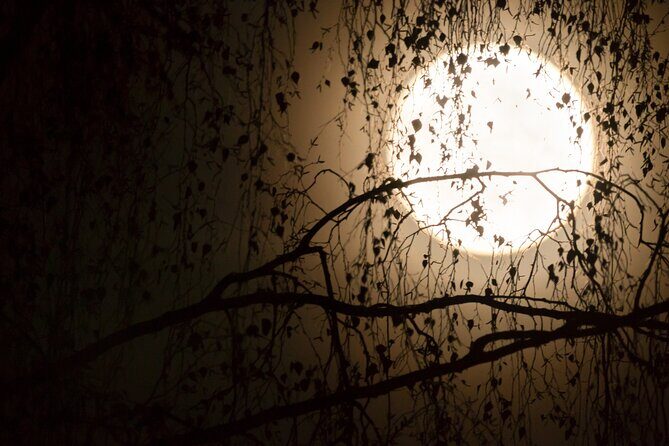 Curse of the Doomed Passage Escape Game in Flaine - Starting and Ending Points