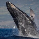 Custom Private Adventure - The Real Experience: What Do the Reviews Say?