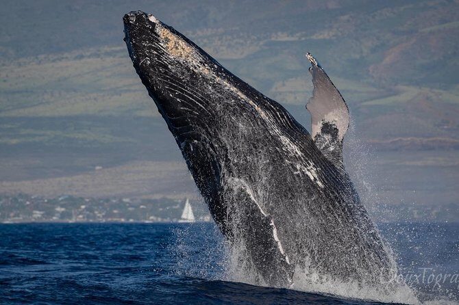 Custom Private Adventure - The Real Experience: What Do the Reviews Say?