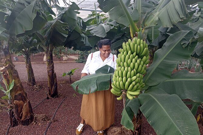 Custom Private Full-Day Tour into the Heart of Tenerife - FAQ