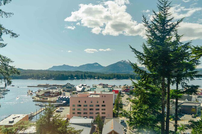 Customized Private Tour in Transit Van - What Makes This Tour Stand Out?