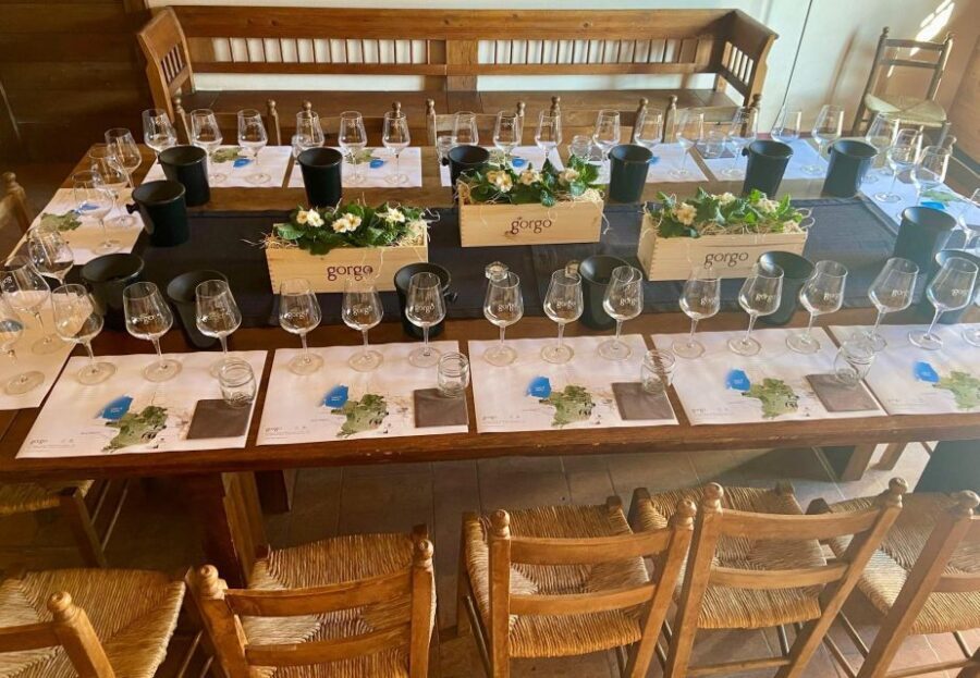 Custoza: Organic Wine Tasting with Vineyard and Cellar Tour - Who Is This Tour For?