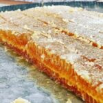 Cyprus: Honey Tour, Tasting, and Beekeeper Experience - The Value of the Experience