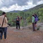 Cyprus: Troodos & Geopark or Pafos Forest & Villages Tour - The Pafos Forest & Villages Alternative