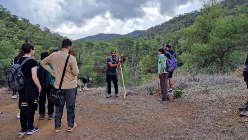 Cyprus: Troodos & Geopark or Pafos Forest & Villages Tour - The Pafos Forest & Villages Alternative