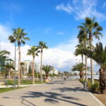 Cypruss History and Charm:Full-Day Private Tour from Paphos - What’s the Real Value?