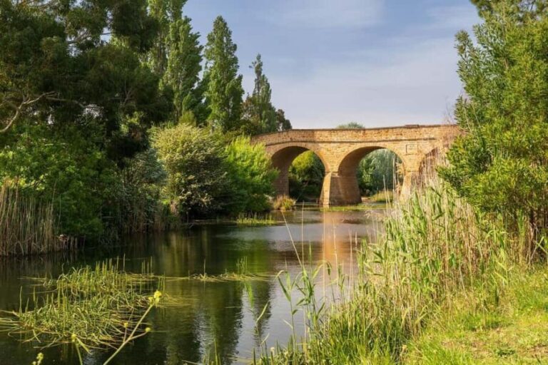 Czech river Sázava: Funny rafting in Bohemia Nature - The Scenic and Cultural Highlights