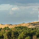 Dagebüll: Daytrip by boat to Amrum - Who should consider this tour?