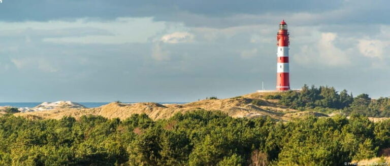 Dagebüll: Daytrip by boat to Amrum - Who should consider this tour?