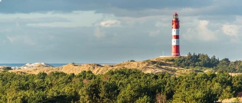 Dagebüll: Daytrip by boat to Amrum - Who should consider this tour?