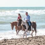 Daily Animals Lovers : Horseback ride with meals & wine included - Starting Point: Centro Ippico Valle Verde and What to Expect