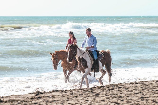 Daily Animals Lovers : Horseback ride with meals & wine included - Starting Point: Centro Ippico Valle Verde and What to Expect