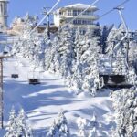 Daily Bursa City Tour by Private Minivan (Day Trip from Istanbul) - What Makes This Tour Stand Out?