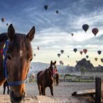Daily Cappadocia North Tour - The Experience from a Traveler’s Perspective