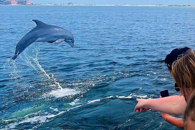 Daily Dolphin Cruise + Sightseeing Tour on Pensacola Beach - What’s Included and Not Included