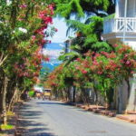 Daily Princes Island Tour from Istanbul - Practical Details and Tips