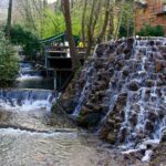 Daily Sapanca Lake & Masukiye Tour - Group Tour Basis - Who Is This Tour Best For?