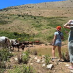 Daily Trip To:Blue Eye,Monastery,Gjirokaster&Lekursi Castle - Insights from Travelers’ Reviews