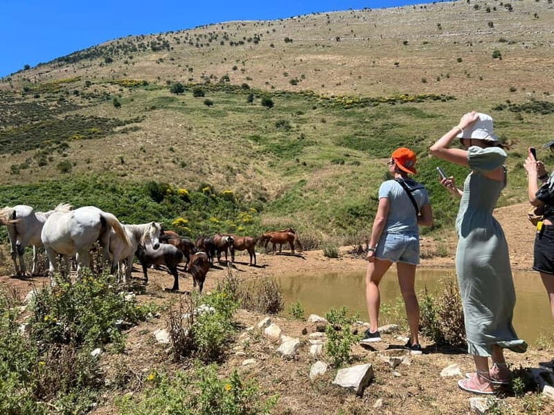 Daily Trip To:Blue Eye,Monastery,Gjirokaster&Lekursi Castle - Insights from Travelers’ Reviews