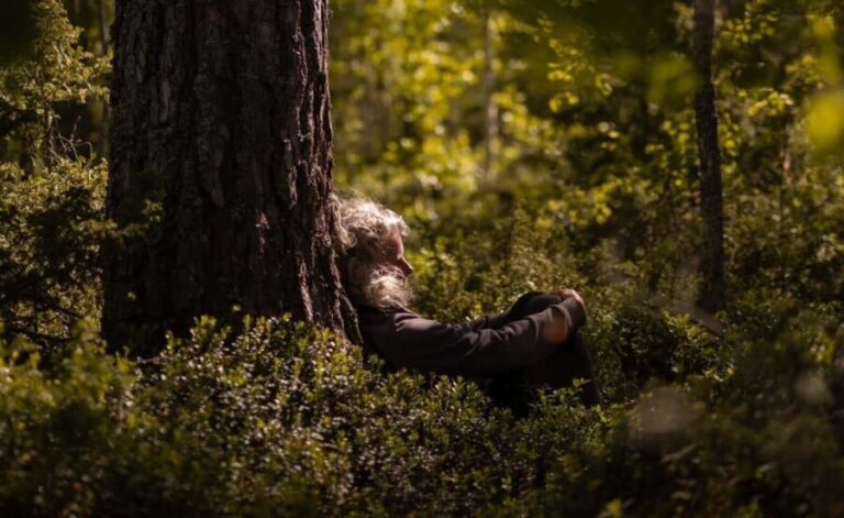 Dala-Floda: Forest Bathing Guided Meditative Walk - FAQs