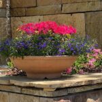 Dallas Arboretum and Botanical Gardens Tour - FAQs